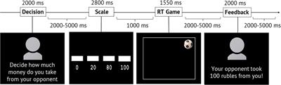 Social Interaction With an Anonymous Opponent Requires Increased Involvement of the Theory of Mind Neural System: An fMRI Study